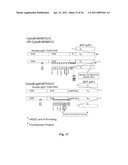 BINDING DOMAIN-IMMUNOGLOBULIN FUSION PROTEINS diagram and image