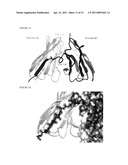 NOVEL ANTIGEN BINDING DIMER-COMPLEXES, METHODS OF MAKING AND USES THEREOF diagram and image