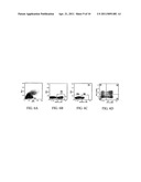 BIOMARKERS FOR PREDICTING RESPONSE TO IMMUNOSUPPRESSIVE THERAPY diagram and image