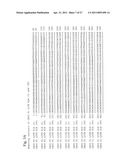 NOVEL VACCINE FOR DOG diagram and image