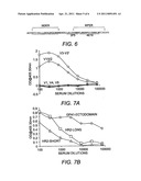 HIV-1 GP41 NEUTRALIZATION DOMAIN AND USE THEREOF diagram and image