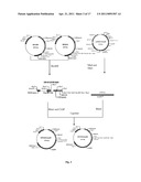 SCHISTOSOMIASIS VACCINE COMPOSITIONS AND METHODS OF USE diagram and image