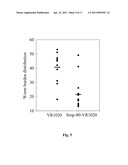 SCHISTOSOMIASIS VACCINE COMPOSITIONS AND METHODS OF USE diagram and image