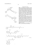 BIOMARKERS FOR SENSITIVITY TO ANTI-IGF1R THERAPY diagram and image