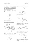 BIOMARKERS FOR SENSITIVITY TO ANTI-IGF1R THERAPY diagram and image