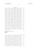 BIOMARKERS FOR SENSITIVITY TO ANTI-IGF1R THERAPY diagram and image