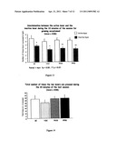 Method for Obtaining Concentrated Polyphenol Extracts From a Stirring Process diagram and image