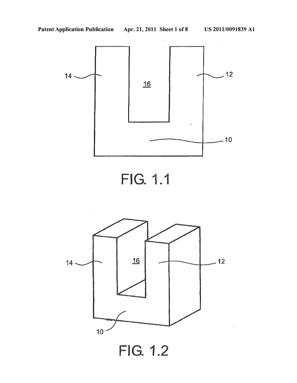 PROFILE BODY FOR DENTAL CLEANING - diagram, schematic, and image 02