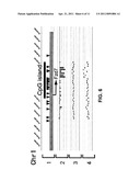 Method for Analysis of DNA Methylation diagram and image