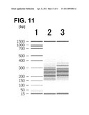 Method for Analysis of DNA Methylation diagram and image