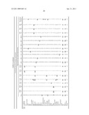 COMPOSITION COMPRISING AN OLIGONUCLEOTIDE MIXTURE FOR THE DETECTION OF CONTAMINATIONS IN CELL CULTURES diagram and image