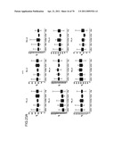 Method of evaluating cancer type diagram and image