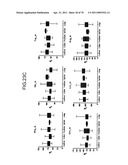 Method of evaluating cancer type diagram and image