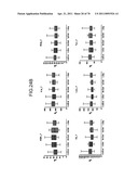 Method of evaluating cancer type diagram and image