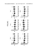 Method of evaluating cancer type diagram and image