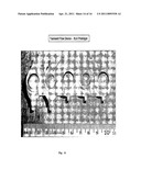 WELL-BASED FLOW SYSTEM FOR CELL CULTURE diagram and image