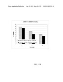 PRODUCTION OF PROTEINS IN GLUTAMINE-FREE CELL CULTURE MEDIA diagram and image