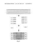 Expression profiling using microarrays diagram and image