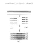 Expression profiling using microarrays diagram and image