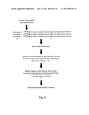 Expression profiling using microarrays diagram and image