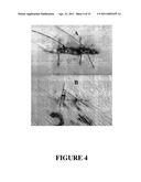 METHOD OF PROMOTING WOUND HEALING diagram and image