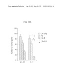 CELL-PERMEABLE ENDOSTATIN RECOMBINANT PROTEIN, A POLYNUCLEOTIDE ENCODING THE SAME, AND AN ANTI-CANCER PREPARATION CONTAINING THE SAME AS AN ACTIVE COMPONENT diagram and image