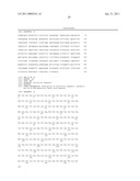 CELL-PERMEABLE ENDOSTATIN RECOMBINANT PROTEIN, A POLYNUCLEOTIDE ENCODING THE SAME, AND AN ANTI-CANCER PREPARATION CONTAINING THE SAME AS AN ACTIVE COMPONENT diagram and image