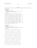 CELL-PERMEABLE ENDOSTATIN RECOMBINANT PROTEIN, A POLYNUCLEOTIDE ENCODING THE SAME, AND AN ANTI-CANCER PREPARATION CONTAINING THE SAME AS AN ACTIVE COMPONENT diagram and image