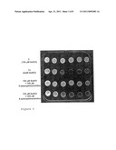 SCREENING MOLECULES WITH ANTI-PRION ACTIVITY: KITS, METHODS AND SCREENED MOLECULES diagram and image