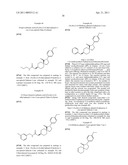 NEW HSL INHIBITORS USEFUL IN THE TREATMENT OF DIABETES diagram and image