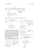 BENZOISOINDOLE DERIVATIVES FOR THE TREATMENT OF PAIN diagram and image