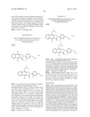 BENZOISOINDOLE DERIVATIVES FOR THE TREATMENT OF PAIN diagram and image