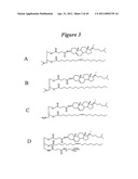 Lipid Nanoparticle Based Compositions and Methods for the Delivery of Biologically Active Molecules diagram and image