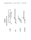 Lipid Nanoparticle Based Compositions and Methods for the Delivery of Biologically Active Molecules diagram and image