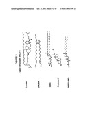 Lipid Nanoparticle Based Compositions and Methods for the Delivery of Biologically Active Molecules diagram and image