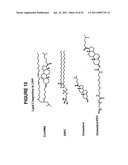 Lipid Nanoparticle Based Compositions and Methods for the Delivery of Biologically Active Molecules diagram and image