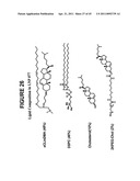 Lipid Nanoparticle Based Compositions and Methods for the Delivery of Biologically Active Molecules diagram and image