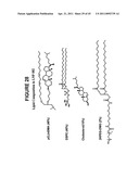 Lipid Nanoparticle Based Compositions and Methods for the Delivery of Biologically Active Molecules diagram and image