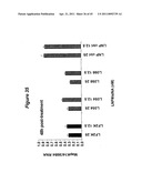 Lipid Nanoparticle Based Compositions and Methods for the Delivery of Biologically Active Molecules diagram and image