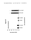 Lipid Nanoparticle Based Compositions and Methods for the Delivery of Biologically Active Molecules diagram and image