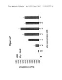 Lipid Nanoparticle Based Compositions and Methods for the Delivery of Biologically Active Molecules diagram and image