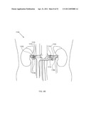 ENERGETIC MODULATION OF NERVES diagram and image