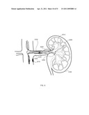 ENERGETIC MODULATION OF NERVES diagram and image