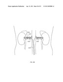 ENERGETIC MODULATION OF NERVES diagram and image