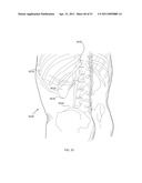 ENERGETIC MODULATION OF NERVES diagram and image