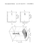 ENERGETIC MODULATION OF NERVES diagram and image