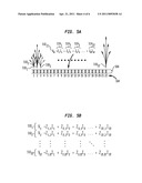 FOCUSED STIMULATION IN A MEDICAL STIMULATION DEVICE diagram and image