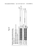 MULTIPROCESSOR SYSTEM, MULTIPLE THREADS PROCESSING METHOD AND PROGRAM diagram and image