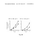 TRANSCRIPTION FACTOR FOR PROMOTING LATERAL ROOT GROWTH UNDER NITROGEN-LIMITING CONDITIONS diagram and image