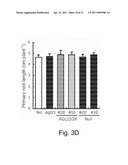 TRANSCRIPTION FACTOR FOR PROMOTING LATERAL ROOT GROWTH UNDER NITROGEN-LIMITING CONDITIONS diagram and image